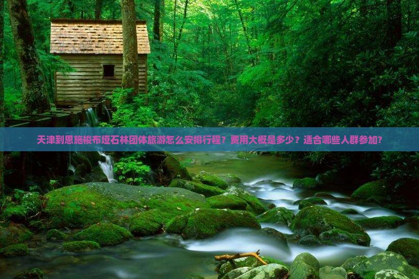 天津到恩施梭布垭石林团体旅游怎么安排行程？费用大概是多少？适合哪些人群参加？