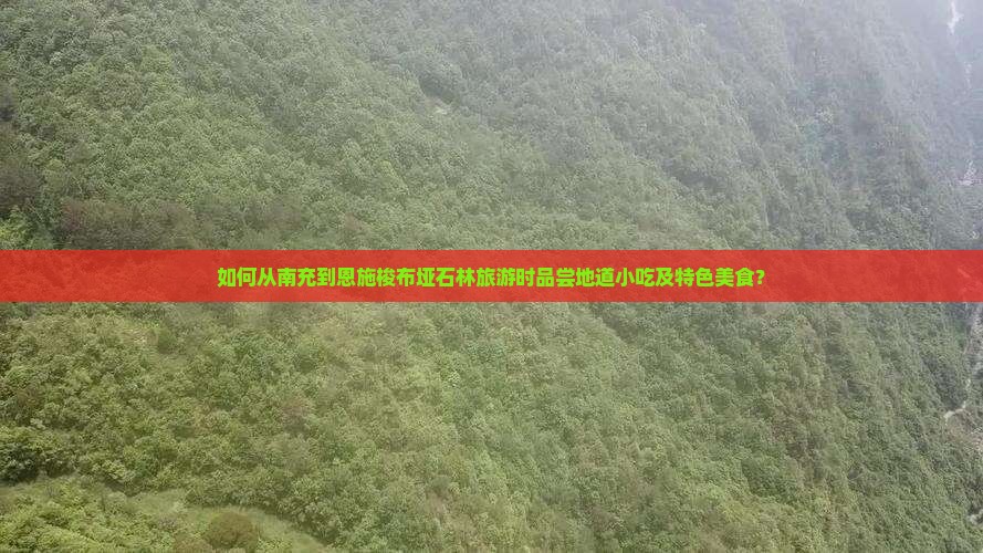 如何从南充到恩施梭布垭石林旅游时品尝地道小吃及特色美食？