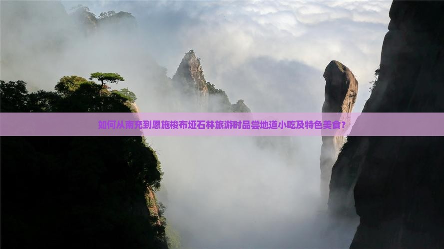 如何从南充到恩施梭布垭石林旅游时品尝地道小吃及特色美食？