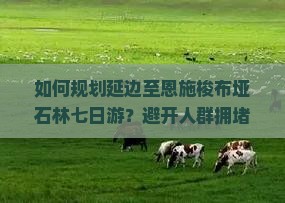 如何规划延边至恩施梭布垭石林七日游？避开人群拥堵，解锁独家旅行痛点！