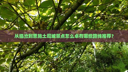 从临沧到恩施土司城景点怎么卓有哪些路线推荐？