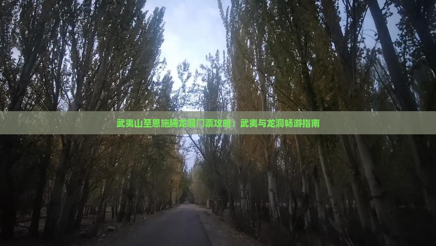 武夷山至恩施腾龙洞门票攻略：武夷与龙洞畅游指南
