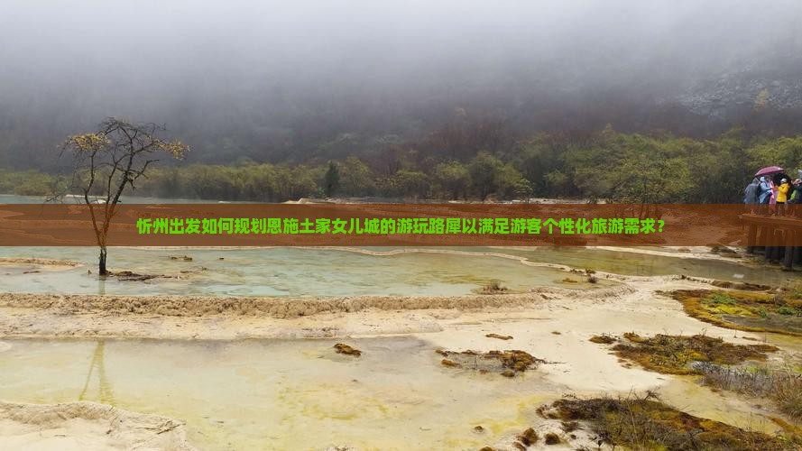 忻州出发如何规划恩施土家女儿城的游玩路犀以满足游客个性化旅游需求？
