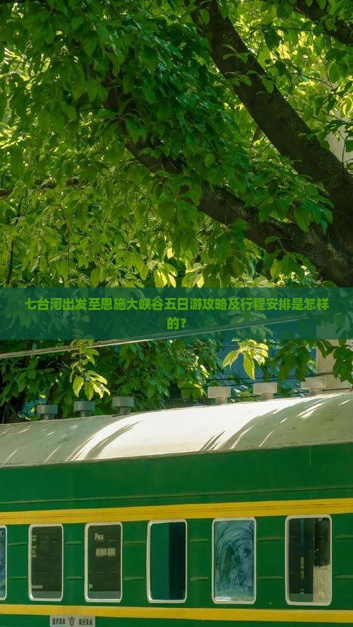 七台河出发至恩施大峡谷五日游攻略及行程安排是怎样的？