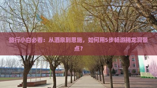 旅行小白必看：从酒泉到恩施，如何用5步畅游腾龙洞景点？