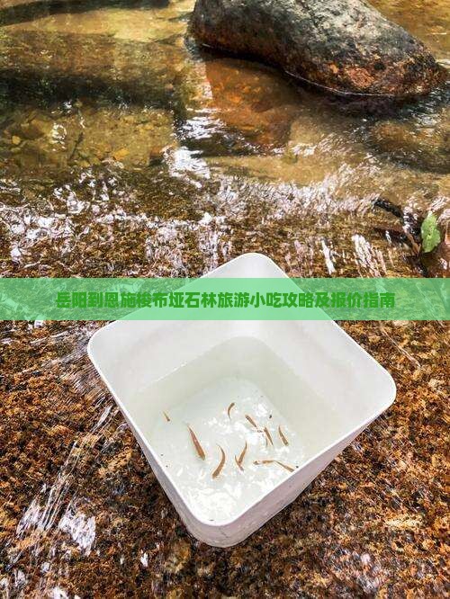 岳阳到恩施梭布垭石林旅游小吃攻略及报价指南