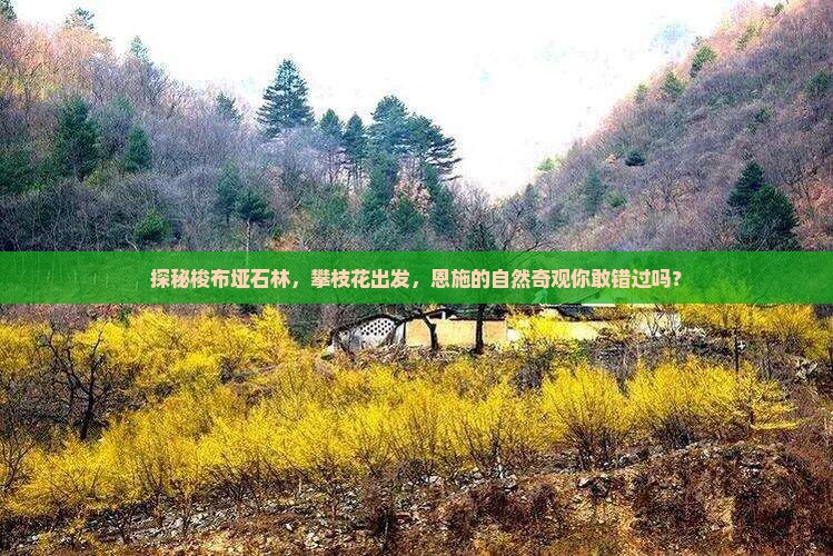 探秘梭布垭石林，攀枝花出发，恩施的自然奇观你敢错过吗？