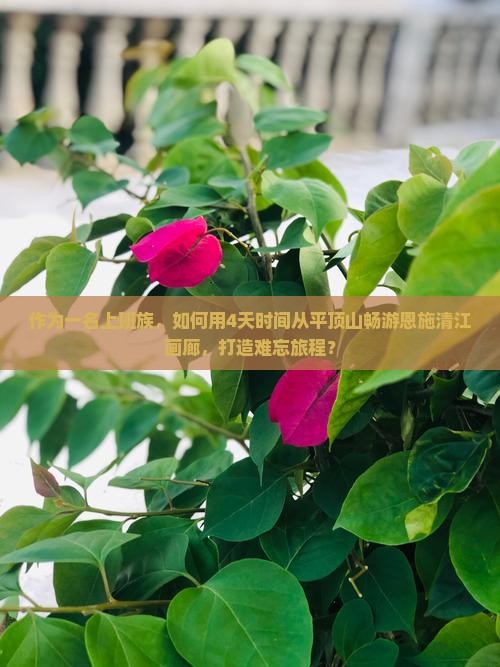 作为一名上班族，如何用4天时间从平顶山畅游恩施清江画廊，打造难忘旅程？