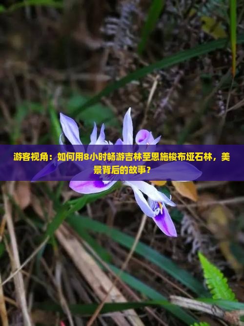 游客视角：如何用8小时畅游吉林至恩施梭布垭石林，美景背后的故事？
