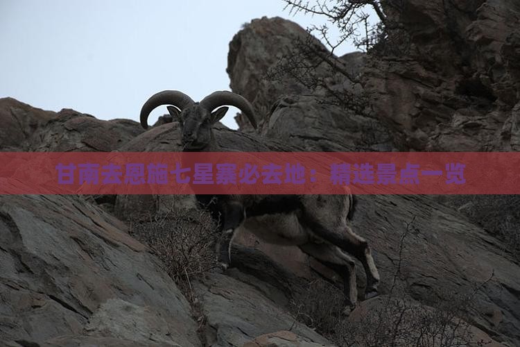 甘南去恩施七星寨必去地：精选景点一览