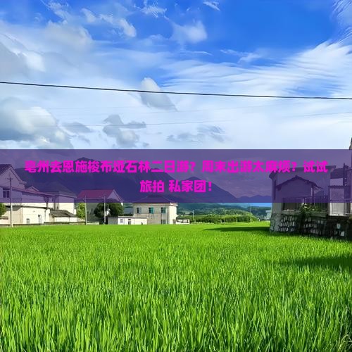 亳州去恩施梭布垭石林二日游？周末出游太麻烦？试试旅拍+私家团！