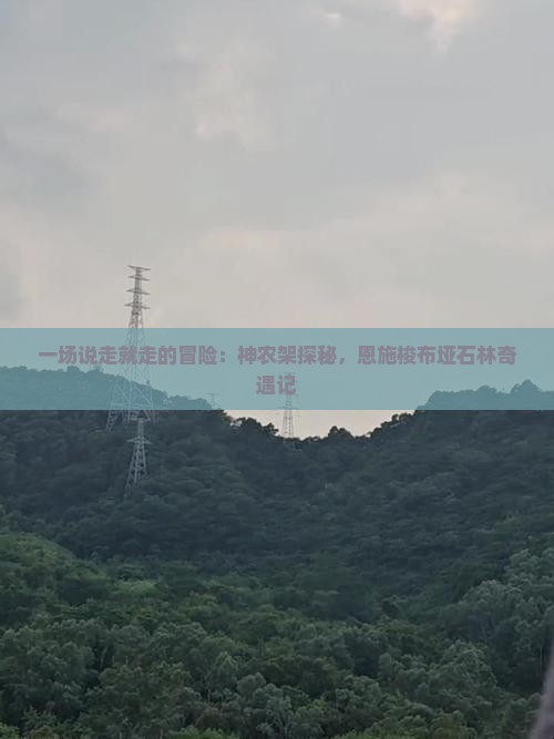 一场说走就走的冒险：神农架探秘，恩施梭布垭石林奇遇记