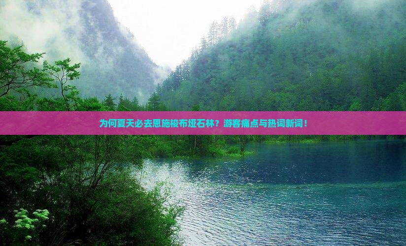 为何夏天必去恩施梭布垭石林？游客痛点与热词新词！