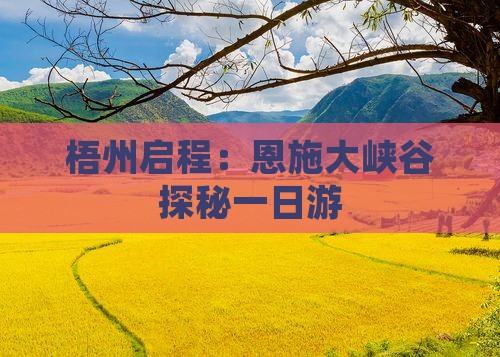 梧州启程：恩施大峡谷探秘一日游