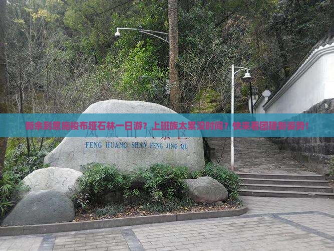 新余到恩施梭布垭石林一日游？上班族太累没时间？快来看团建新姿势！