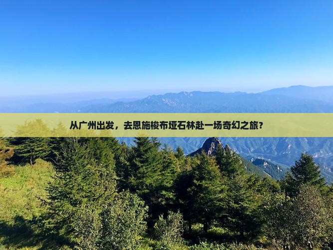 从广州出发，去恩施梭布垭石林赴一场奇幻之旅？