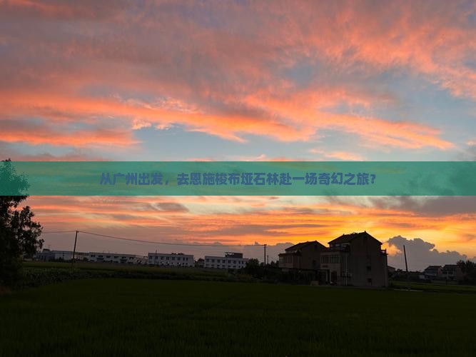 从广州出发，去恩施梭布垭石林赴一场奇幻之旅？