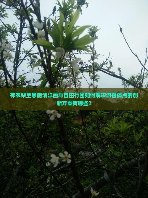神农架至恩施清江画廊自由行团如何解决游客痛点的创新方案有哪些？