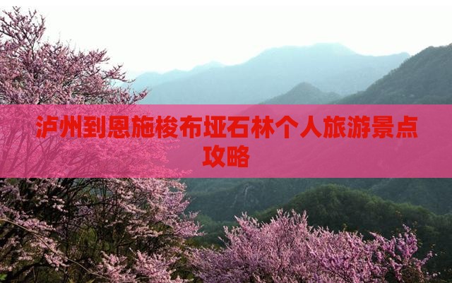 泸州到恩施梭布垭石林个人旅游景点攻略