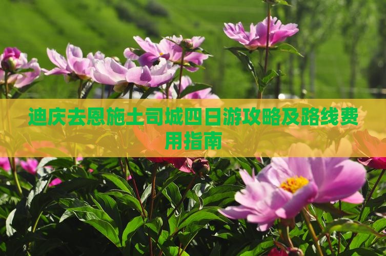 迪庆去恩施土司城四日游攻略及路线费用指南