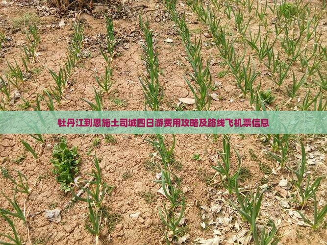 牡丹江到恩施土司城四日游费用攻略及路线飞机票信息