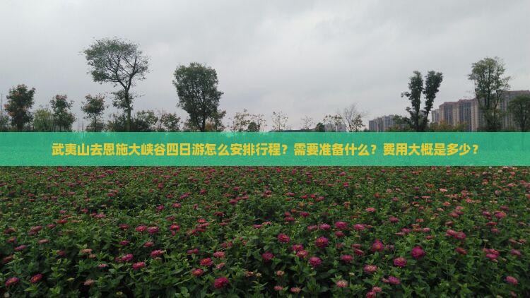 武夷山去恩施大峡谷四日游怎么安排行程？需要准备什么？费用大概是多少？