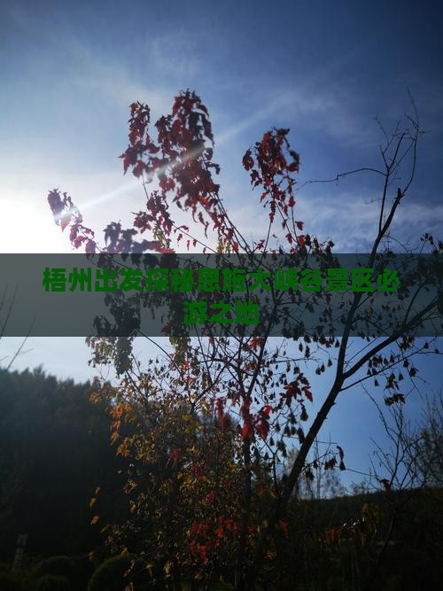 梧州出发探秘恩施大峡谷景区必游之地