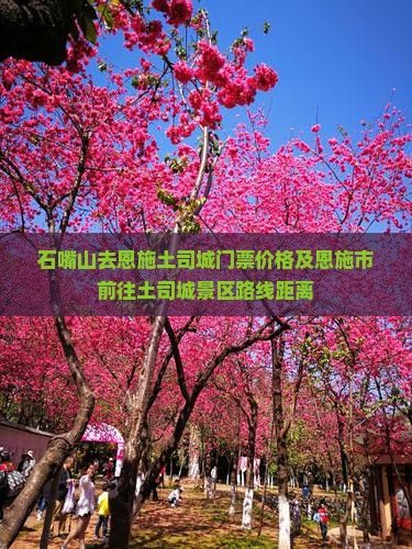 石嘴山去恩施土司城门票