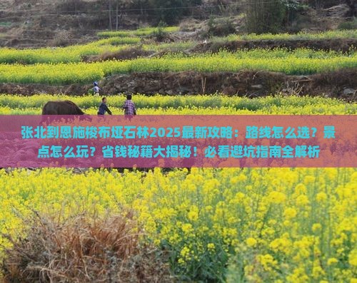 张北到恩施梭布垭石林攻略