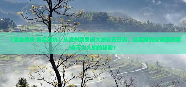 漳州到恩施大峡谷五日游