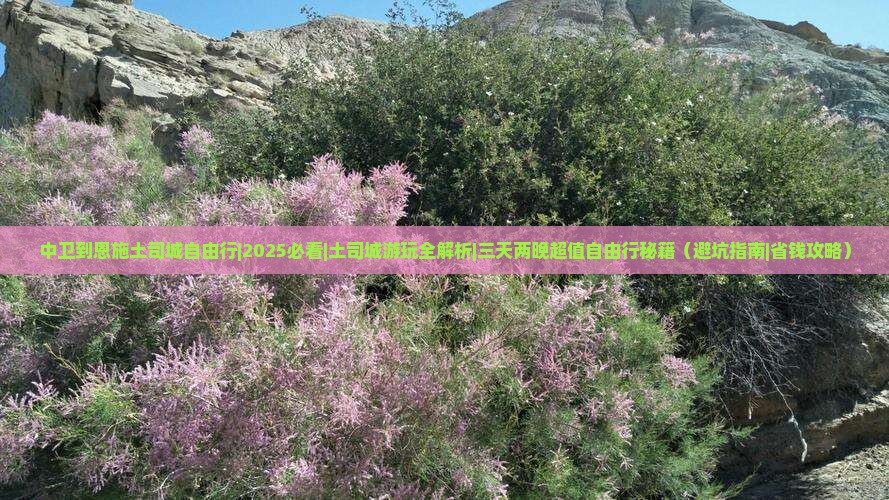 中卫到恩施土司城自由行