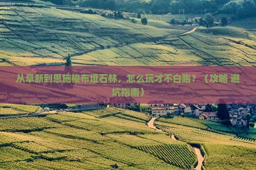 阜新到恩施梭布垭石林哪里玩