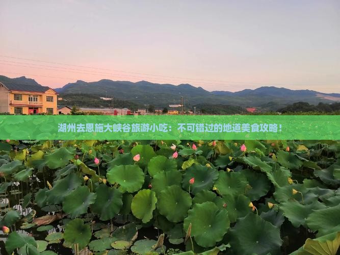 湖州去恩施大峡谷旅游小吃
