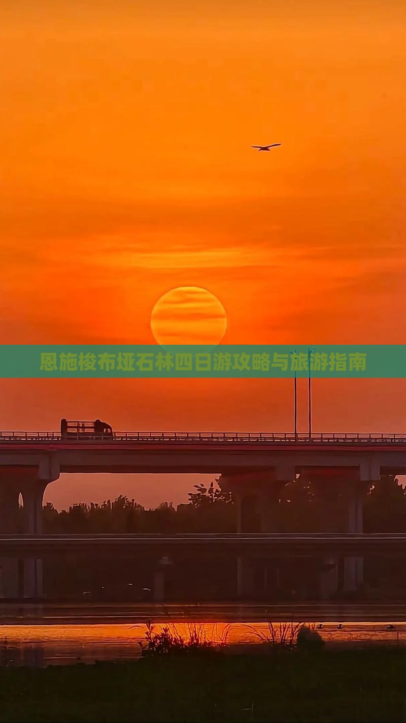 丽水去恩施梭布垭石林四日游 丽水去恩施梭布垭石林四日游