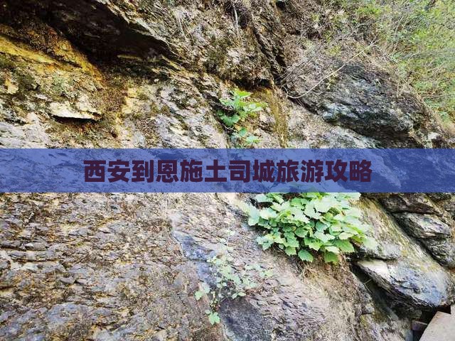 西安到恩施土司城门票