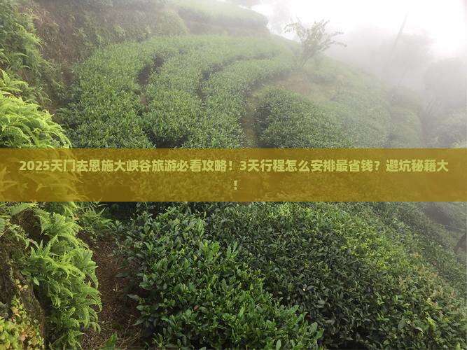 天门去恩施大峡谷旅游