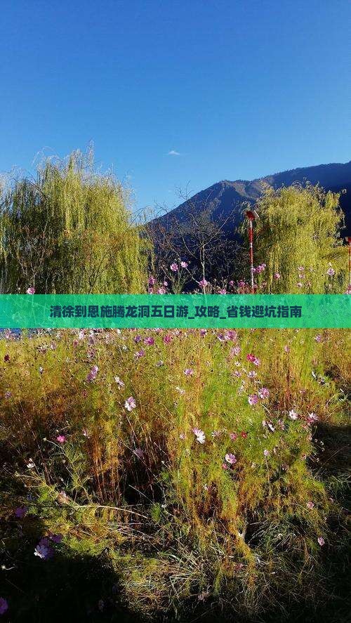 清徐到恩施腾龙洞五日游