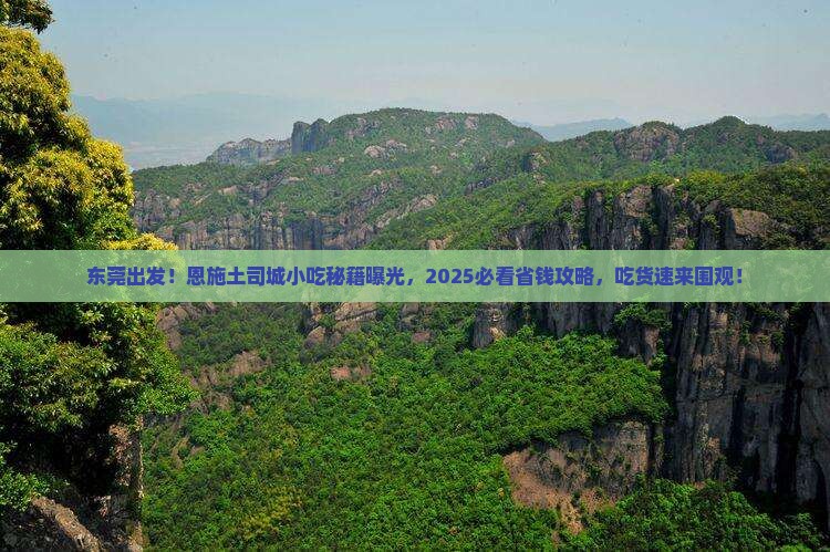 东莞去恩施土司城旅游小吃