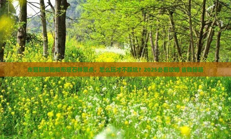 东营到恩施梭布垭石林景点