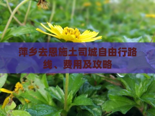 萍乡去恩施土司城自由行