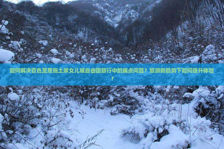 如何解决百色至恩施土家女儿城自由团旅行中的痛点问题？旅游新趋势下如何提升体验？