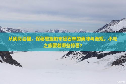 从鹤岗启程，探秘恩施梭布垭石林的美味与奇观，小吃之旅藏着哪些惊喜？