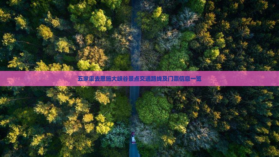 五家渠去恩施大峡谷景点交通路线及门票信息一览