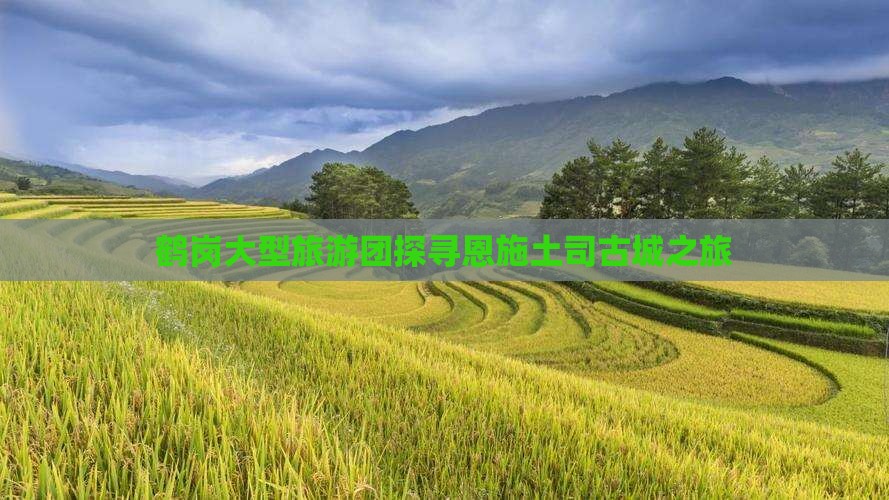 鹤岗大型旅游团探寻恩施土司古城之旅