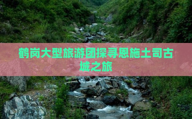 鹤岗大型旅游团探寻恩施土司古城之旅