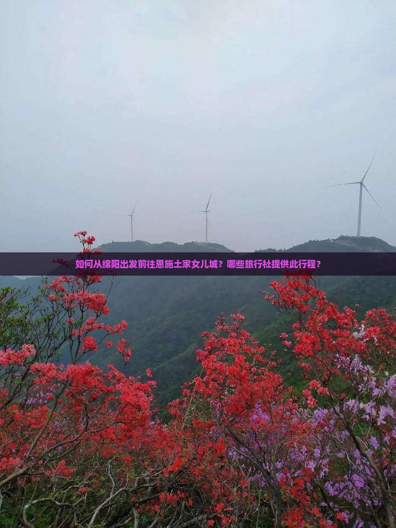 如何从绵阳出发前往恩施土家女儿城？哪些旅行社提供此行程？