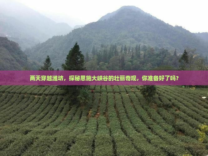 两天穿越潍坊，探秘恩施大峡谷的壮丽奇观，你准备好了吗？