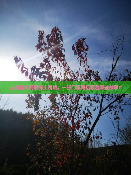 从阿克苏到恩施土司城，一张门票背后藏着哪些故事？