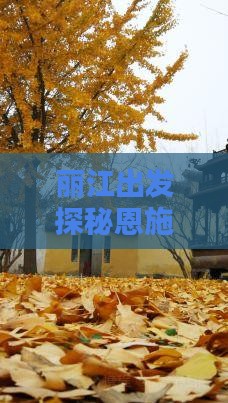 丽江出发探秘恩施大峡谷土司城攻略指南