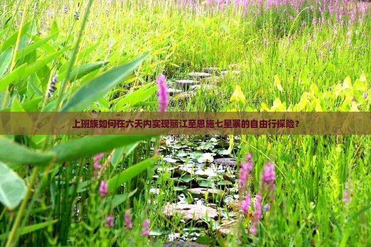 上班族如何在六天内实现丽江至恩施七星寨的自由行探险？